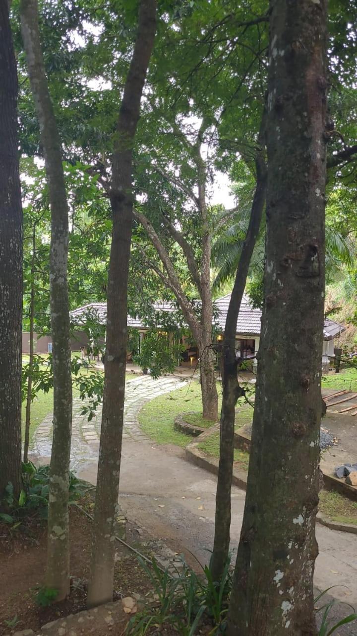 Villa D55 Kandy Exterior photo